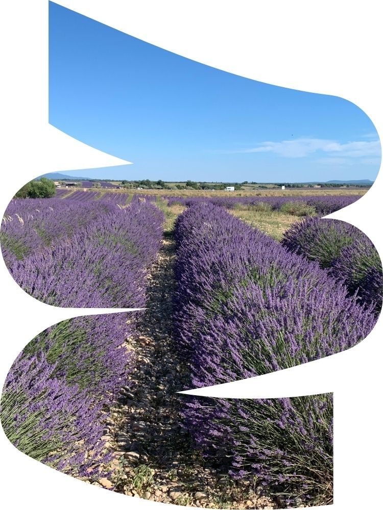 Votre voyage en Provence grâce à votre travel planner